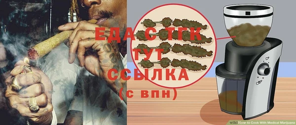 индика Кукмор