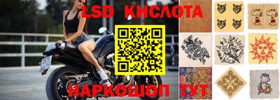 гидропоника Бийск