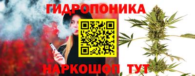 прущие крисы Гусев