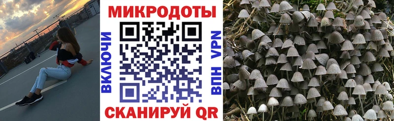 Галлюциногенные грибы прущие грибы  Красногорск 