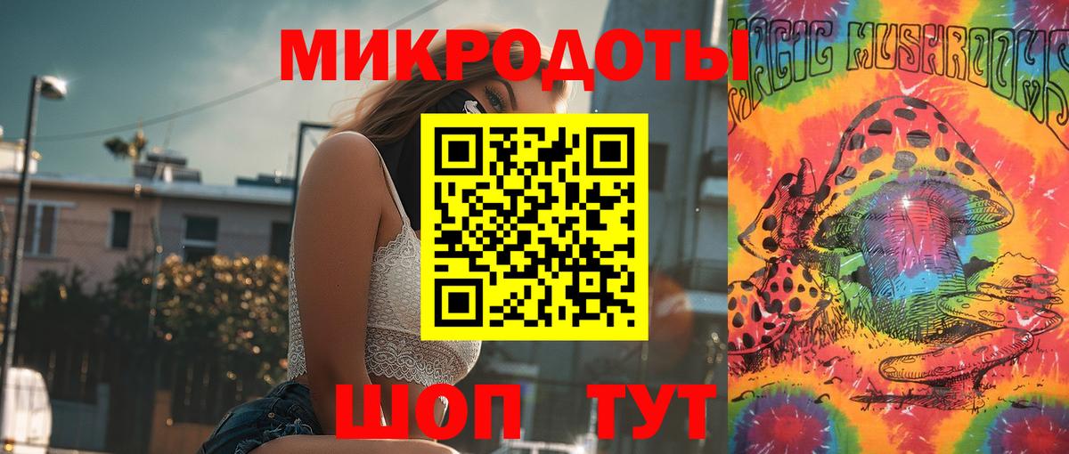 Псилоцибиновые грибы Psilocybe Красногорск