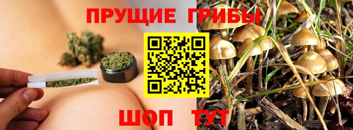 Псилоцибиновые грибы ЛСД  Псилоцибиновые грибы GOLDEN TEACHER  продажа наркотиков  Красногорск  Вход с VPN 