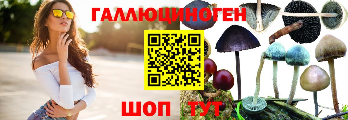 Псилоцибиновые грибы Cubensis Красногорск